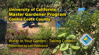 Water in Your Garden - Taking Control (webinar talk by Lori Palmquist)