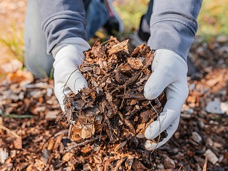 The Magic of Mulch Webinar