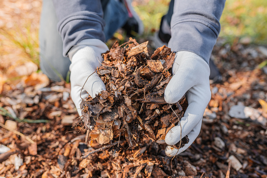 The Magic of Mulch Webinar